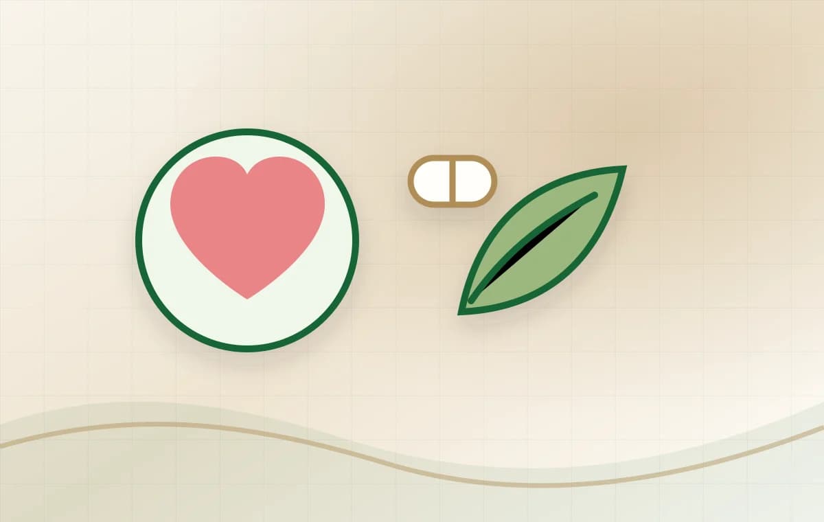 Illustration cœur, feuille et bien-être pour la rubrique santé